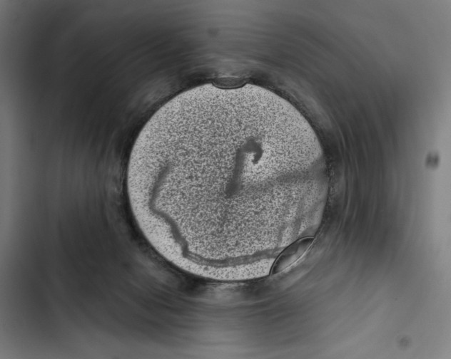 X0000102340078200808291147