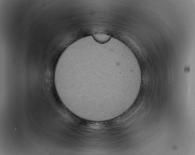 X0000102340079200808291147