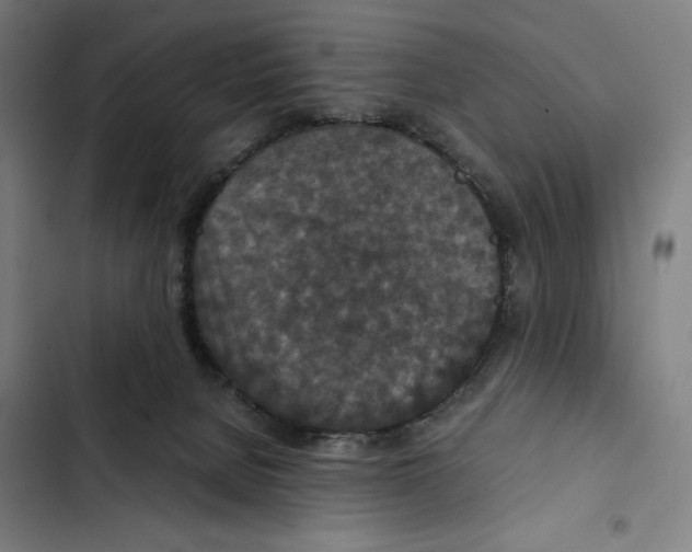 X0000102340080200808291147