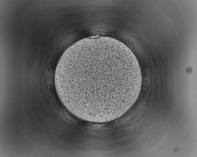 X0000102340081200808291147