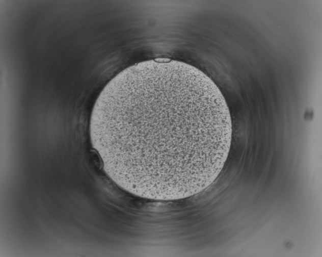 X0000102340082200808291147