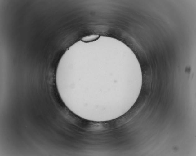 X0000102340083200808291147