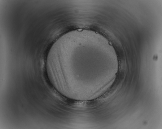 X0000102340084200808291147