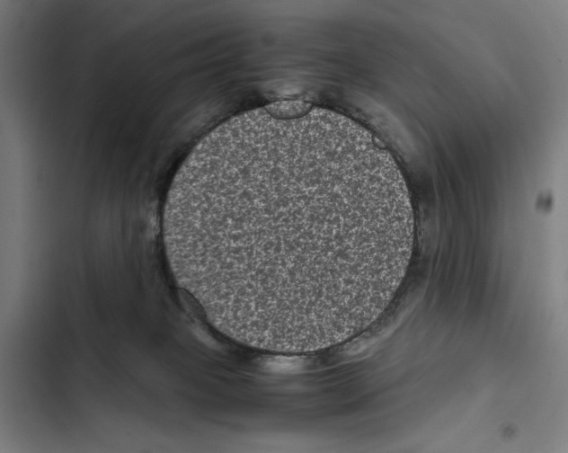 X0000102340085200808291147
