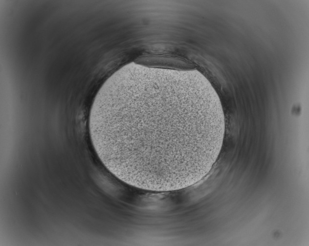 X0000102340086200808291147