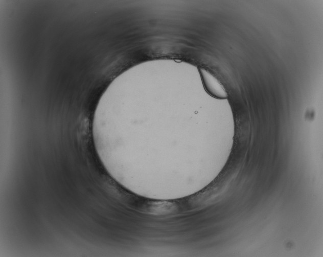 X0000102340087200808291147