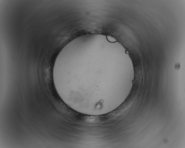 X0000102340088200808291147