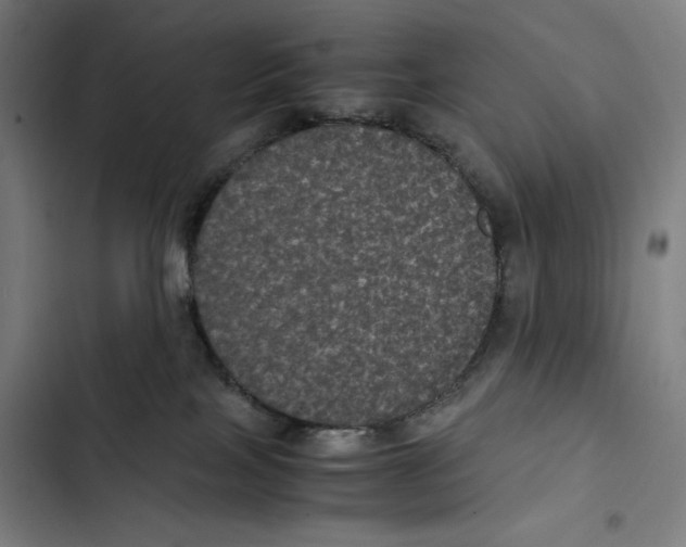 X0000102340089200808291147