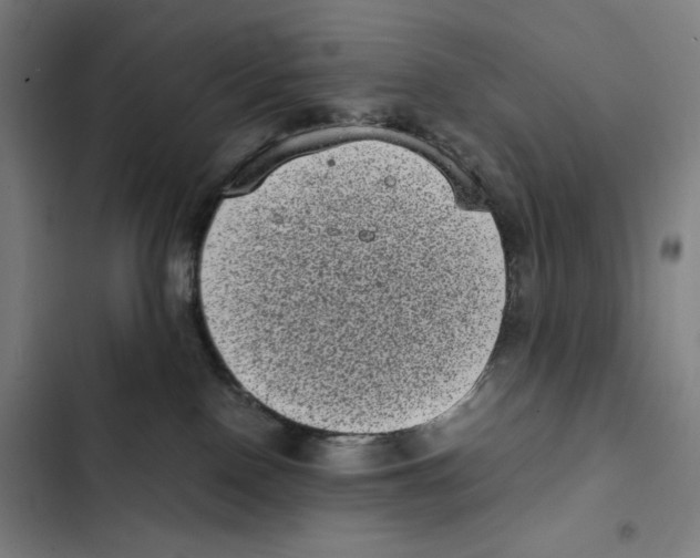 X0000102340090200808291147