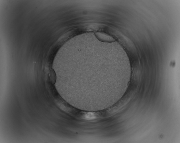 X0000102340091200808291147