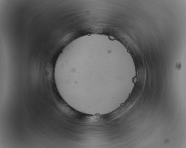 X0000102340092200808291147