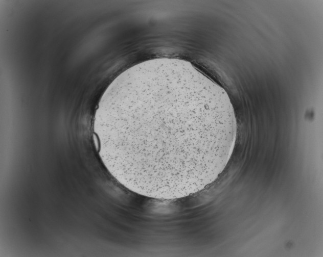 X0000102340093200808291147
