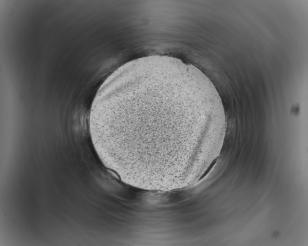 X0000102340094200808291147
