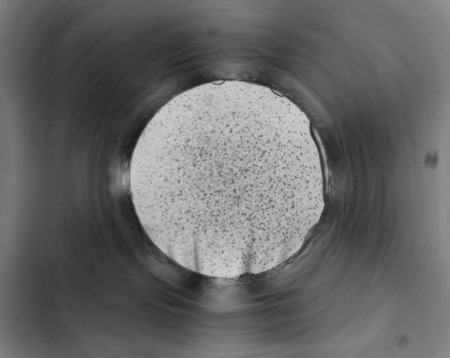 X0000102340095200808291147