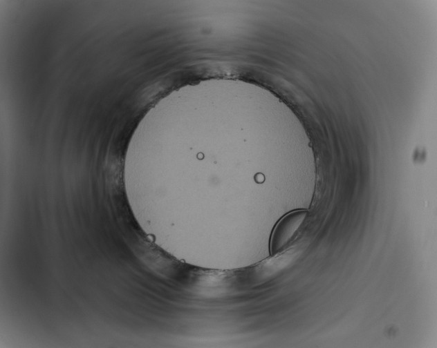 X0000102340096200808291147
