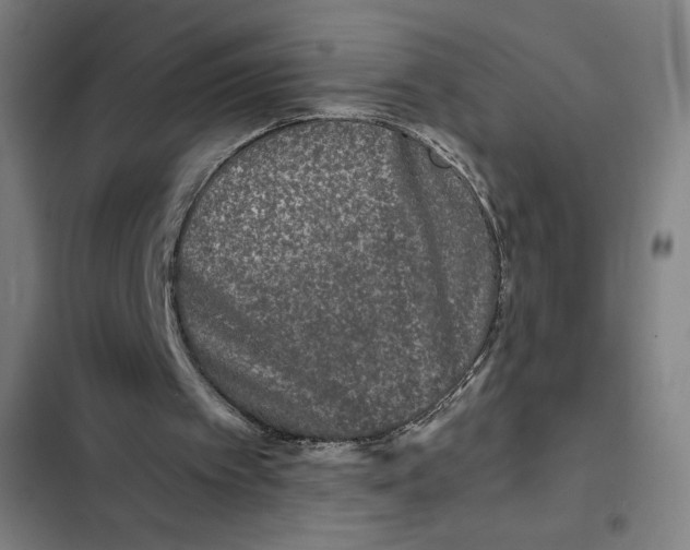 X0000102340097200808291147
