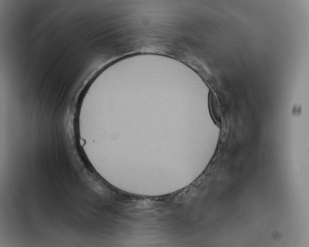 X0000102340098200808291147
