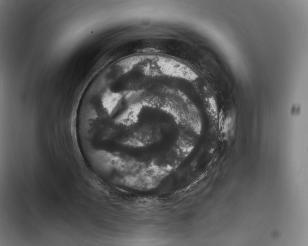 X0000102340099200808291147