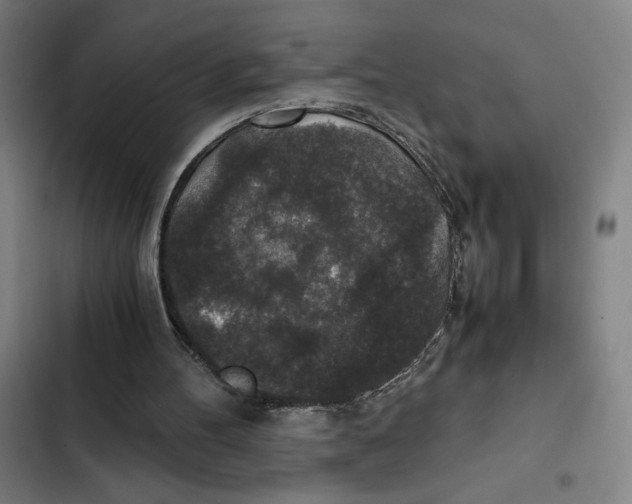 X0000102340100200808291147