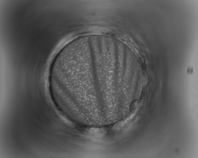 X0000102340101200808291147