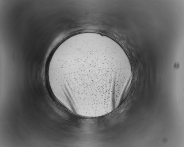 X0000102340102200808291147