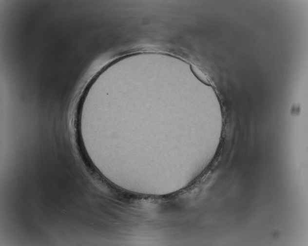 X0000102340103200808291147