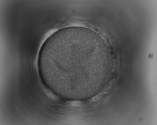 X0000102340104200808291147