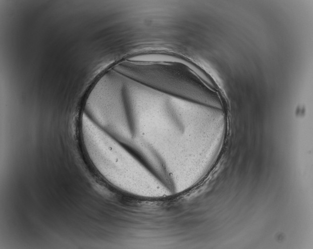 X0000102340105200808291147