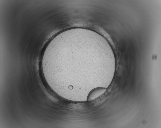 X0000102340106200808291146