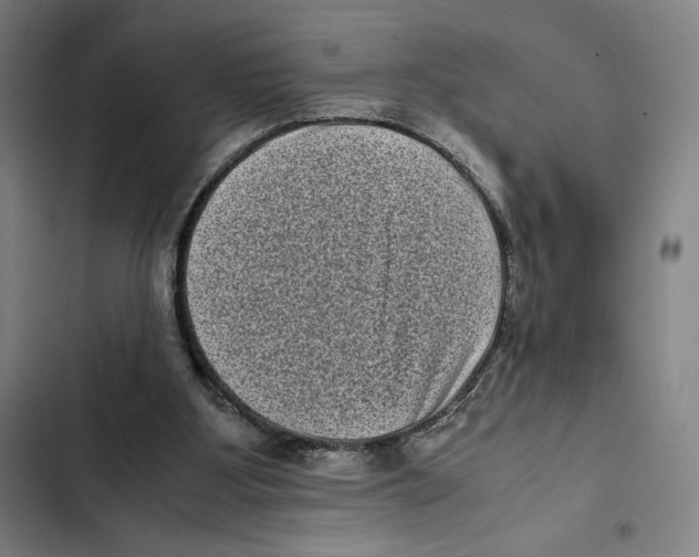 X0000102340107200808291146