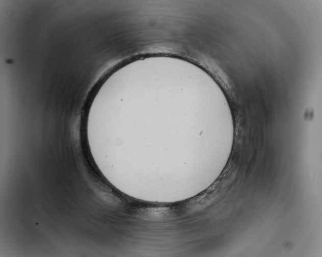 X0000102340108200808291146