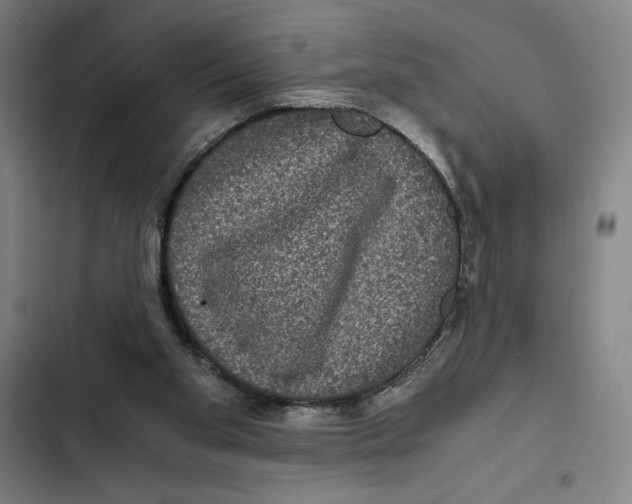 X0000102340109200808291146