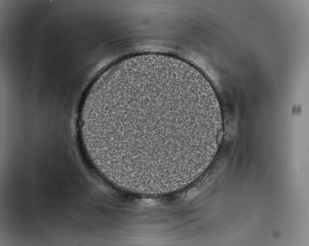 X0000102340111200808291146