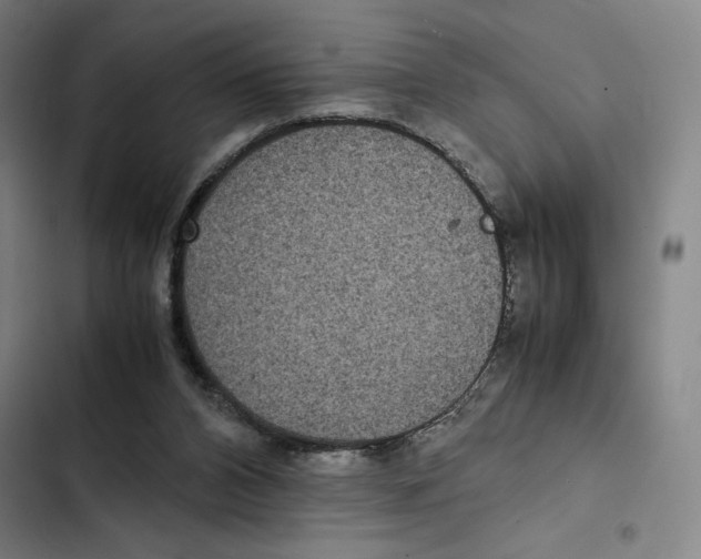 X0000102340112200808291146