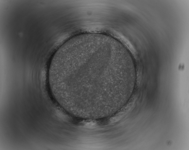 X0000102340113200808291146