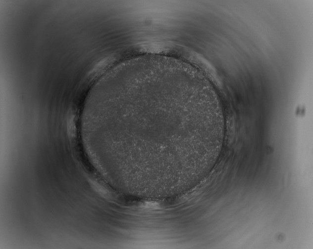 X0000102340114200808291146