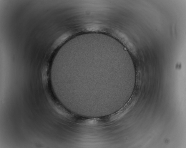 X0000102340116200808291146