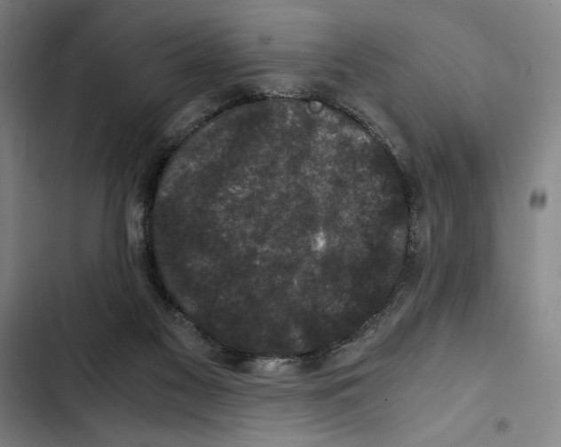 X0000102340117200808291146