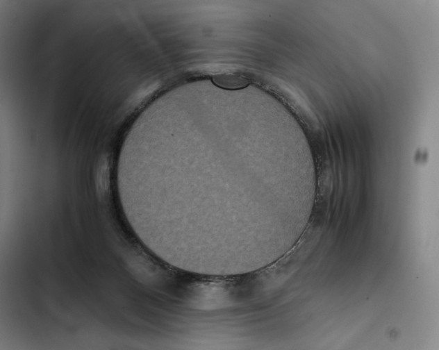 X0000102340120200808291146