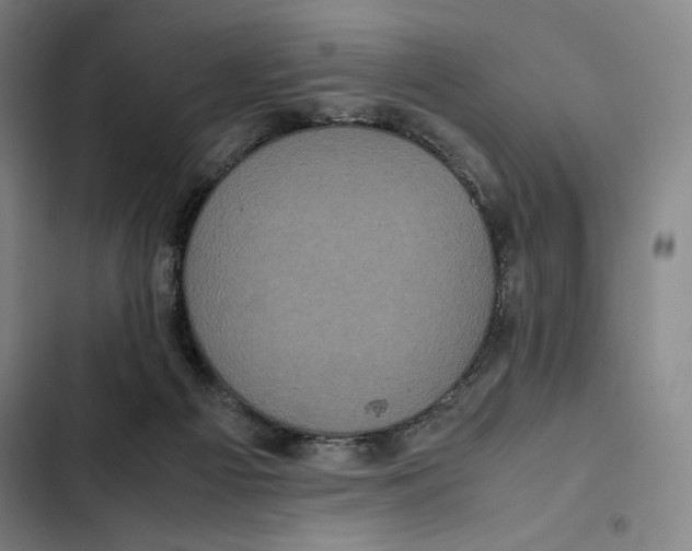X0000102340121200808291146