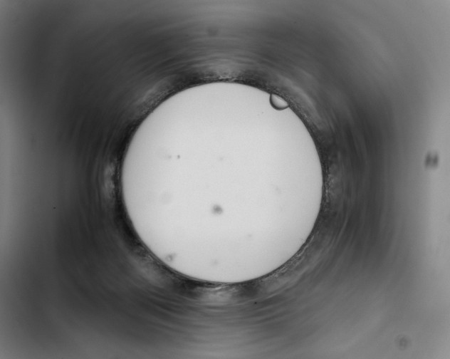 X0000102340122200808291146