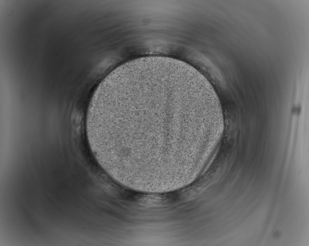 X0000102340123200808291146