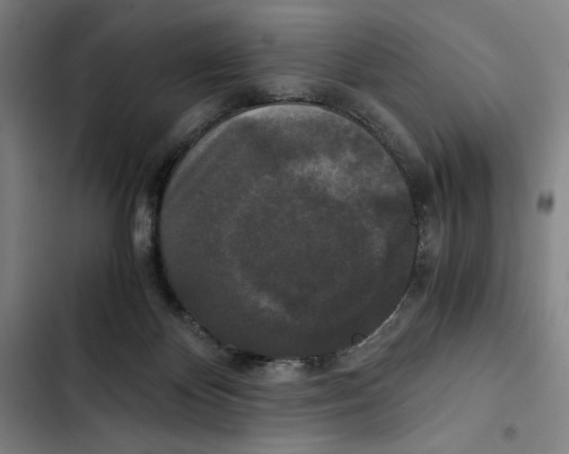 X0000102340124200808291146