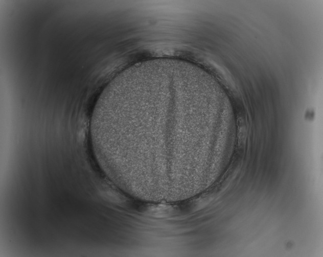 X0000102340125200808291146