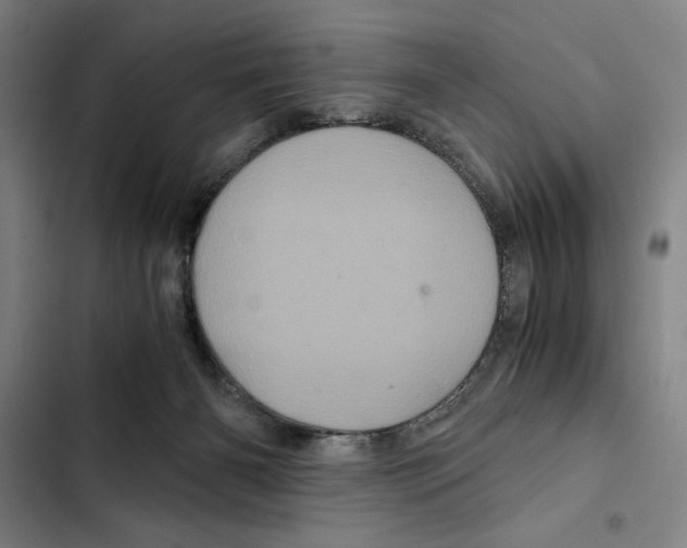 X0000102340126200808291146