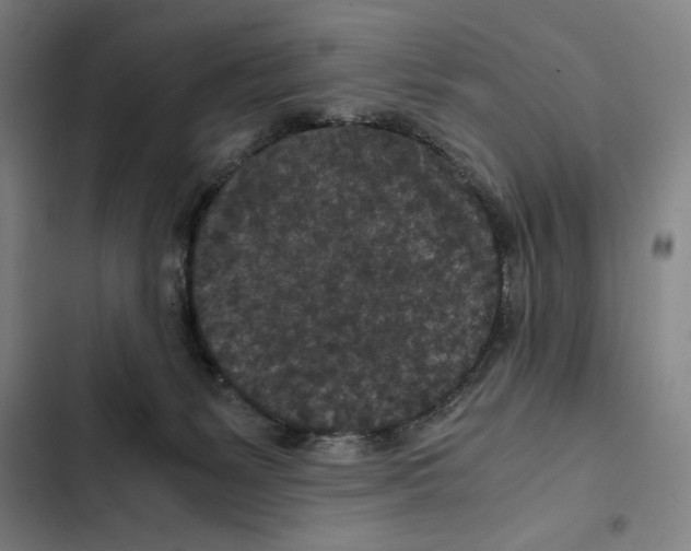 X0000102340127200808291146