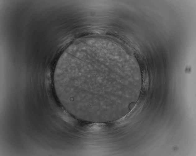 X0000102340128200808291146