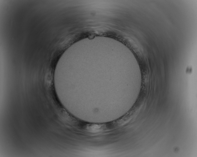 X0000102340129200808291146