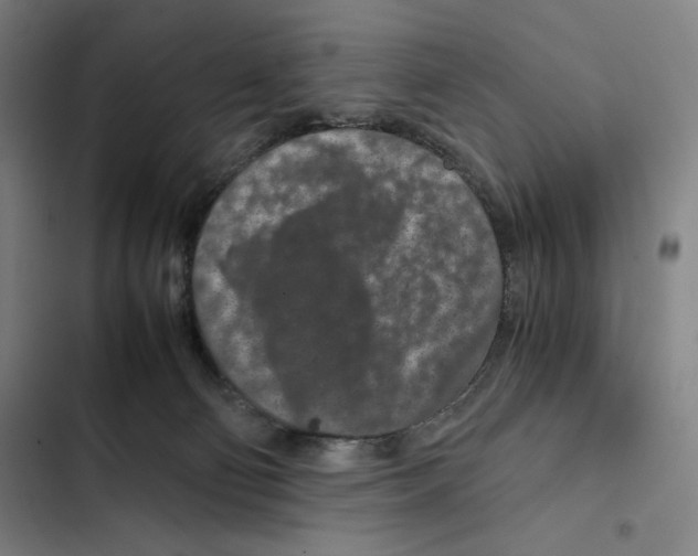 X0000102340130200808291146
