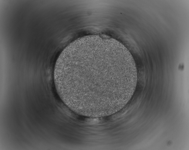 X0000102340131200808291146